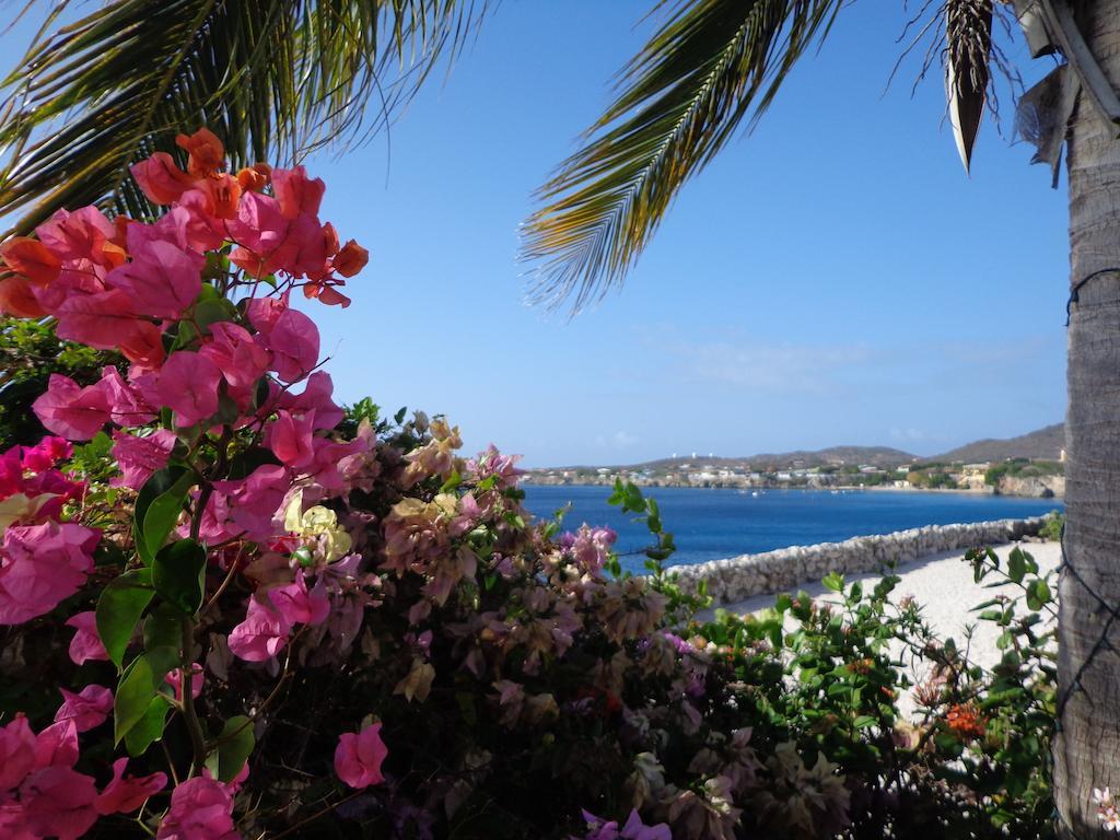 Marazul Dive Resort Westpunt Pokój zdjęcie